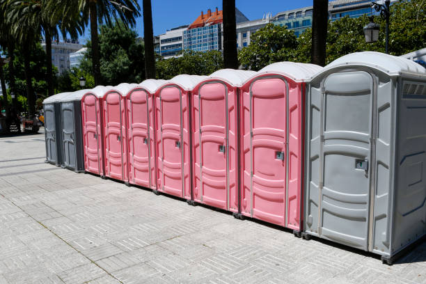 Best Standard Portable Toilet Rental  in Wills Point, TX